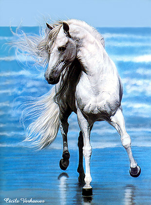 Illustration du poème